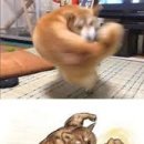 밸런스약국 이미지