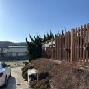 풀빛향기 | 강릉 가성비 숙소 정동진 풀빛향기 펜션(애견동반 펜션, 기본 정보)