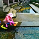 샛도리물 이미지