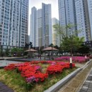 큐부동산공인중개사사무소 이미지