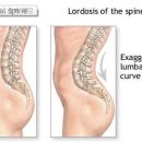오리궁뎅이 이미지