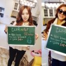 소나무하우스 이미지