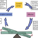 우리기전 이미지