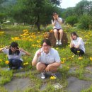 하장고등학교 이미지