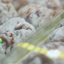 송월농장 이미지