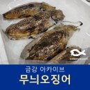 어업회사법인 금강씨푸드주식회사