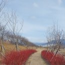 공공용 38 이미지