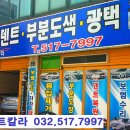 대성덴트칼라 이미지