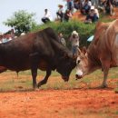 오안민박 이미지