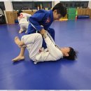 튼튼합기도 이미지