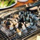 갈릴리농원