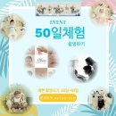 은나무스튜디오 이미지