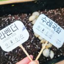 희원식물원 이미지