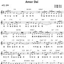 Amor Dei / 하나님 사랑 날 위하여 (구자철) [영락교회 이하연] 이미지