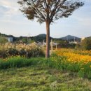 백호문학관 주차장 이미지