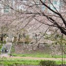 경기도 수원시 권선구 경수대로 393 (권선동) | 수원 권선동 신상 카페, 소금빵 맛집 고미베이커에프엔비 후기