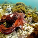 이로운바다 이미지