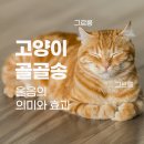 송 이미지