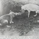 공도4로 이미지