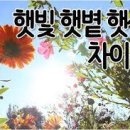 햇볕 이미지