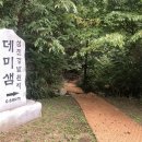 데미샘