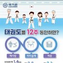 금오태권도 이미지
