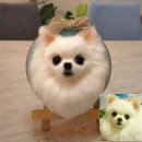 반려동물 양모 초상화 만들기 | 인천아트돌공방, 반려동물을 양모펠트로 똑같이 만들어주는 &#39;폼찌공방&#39;