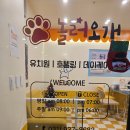 놀러오개 애견유치원 애견호텔 운정신도시점 이미지