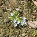 모래벌농장 이미지