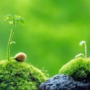 호텔더디자이너스 리즈 스윗 역삼 이미지