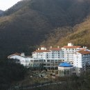 청화축산 네이버블로그