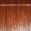 헤어칼라 이미지