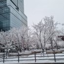 새이룸어린이집 | 2024년 2월, 우리의 일상.