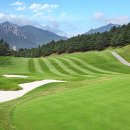 수림프라자 이미지