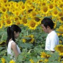 지금 만나러 갑니다 이미지