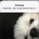 에이쁠