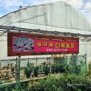 육남매농장 이미지