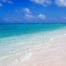 케이전자 이미지