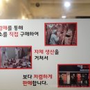 마블넘버나인(No9) 이미지