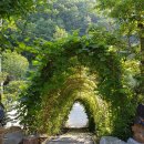 하늘구름길캠핑장 이미지