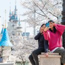 두 번째 벚꽃 이미지