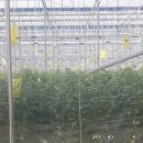 정실농장 이미지