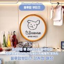 블루맘펫살롱 | 강서구 애견용품 편집샵 블루맘부띠끄,강아지 고양이를 위한 프리미엄 제품들