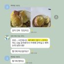 [공지] 홍감자 후기 모음, 카스테라처럼 포슬포슬하다는 말이 진짜였어요