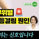 등통증의 비밀 부위별 등통증, 등결림이 말해주는 몸 속 이상신호 이미지