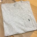 포켓불독 이미지