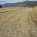 사리보건진료소 이미지