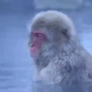 몽중정원 이미지