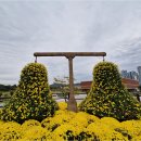 1순환로(3-170) 이미지