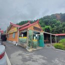 금수강산막국수 | [강원도/홍천] 홍천 막국수 맛집 추천! 비발디파크 근처 금수강산막국수 내돈내산 솔직후기.